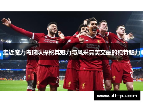 走近魔力鸟球队探秘其魅力与风采完美交融的独特魅力