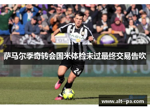 萨马尔季奇转会国米体检未过最终交易告吹 萨马尔季奇转会国米体检未过最终交易告吹